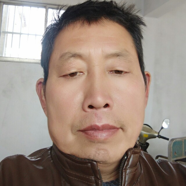 西牛爱有魅力的照片
