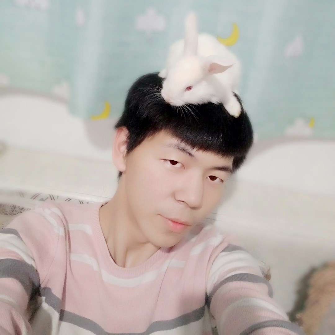寂冷邂逅惊鸿的照片