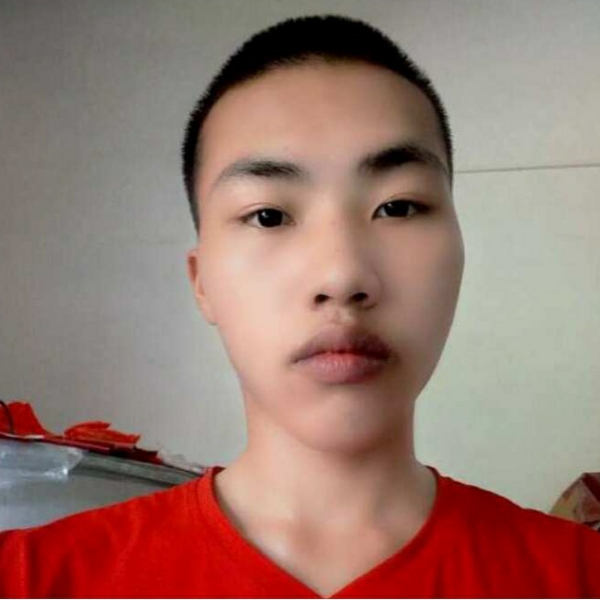 烂漫有心情的照片