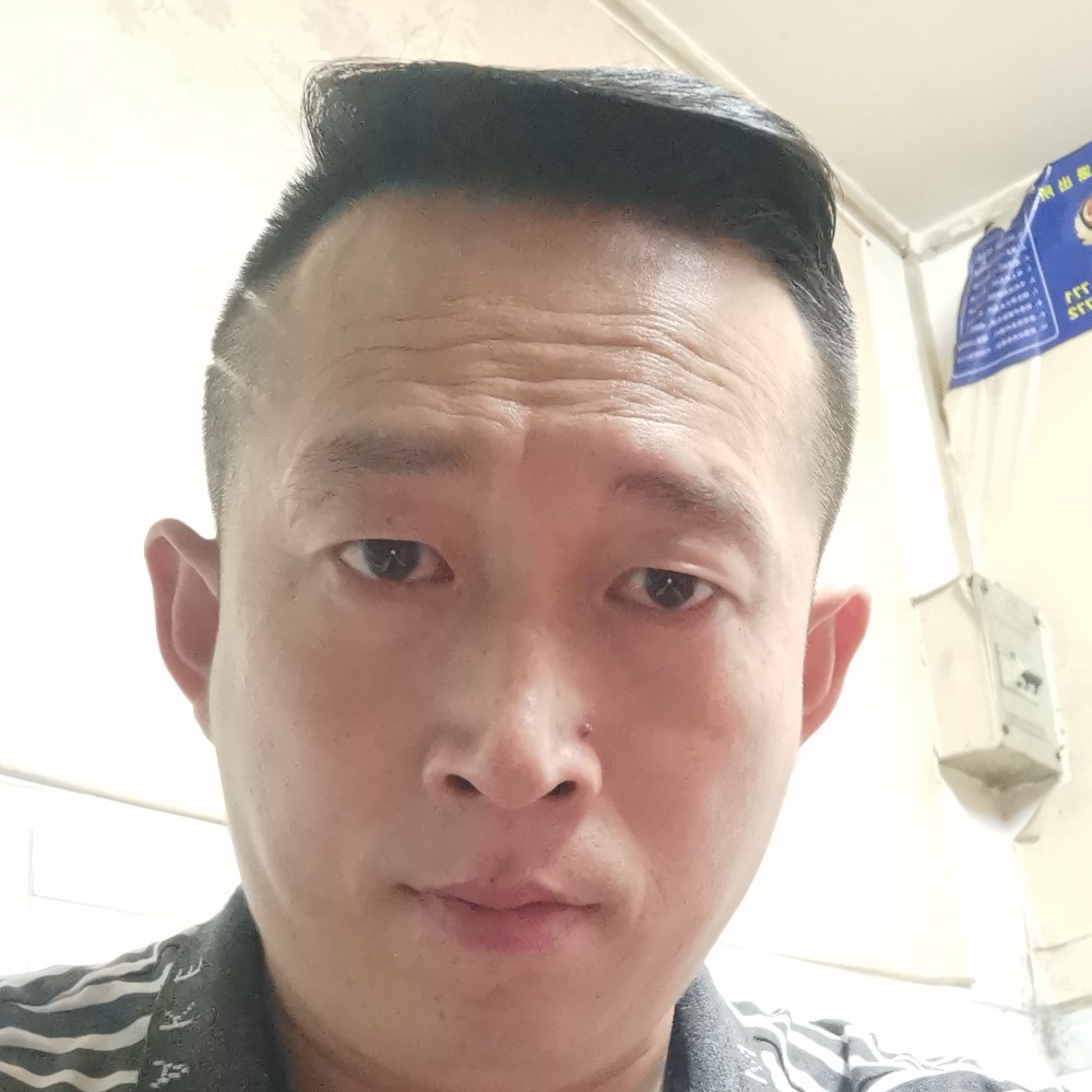 小蚂蚁深拥妩媚的照片