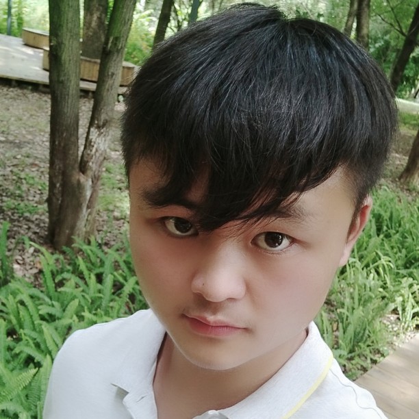 缘归的照片
