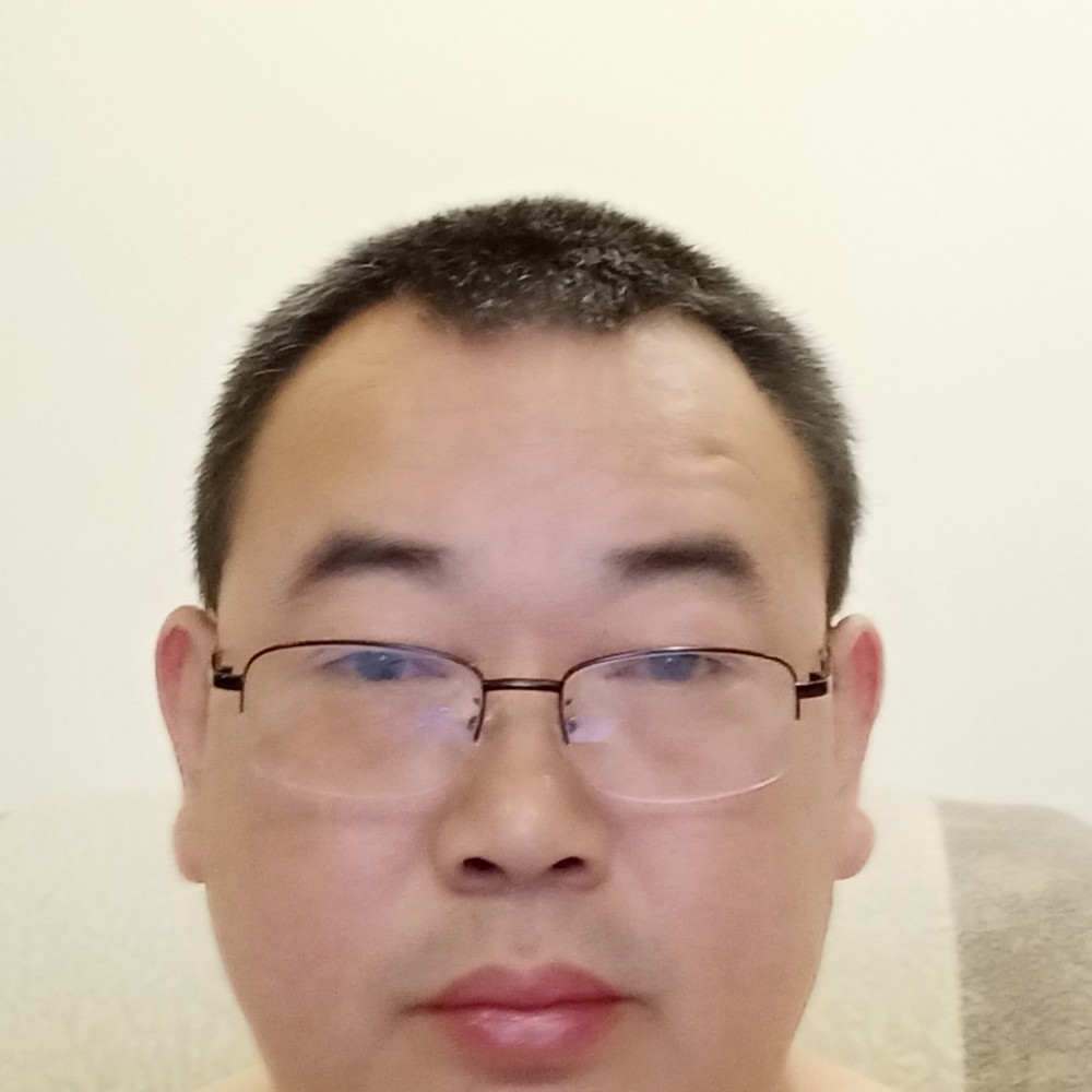 害羞乌龟贝壳的照片