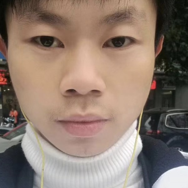 动听保卫红玫瑰的照片