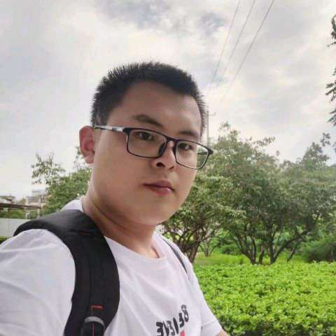 大树就大胆的照片