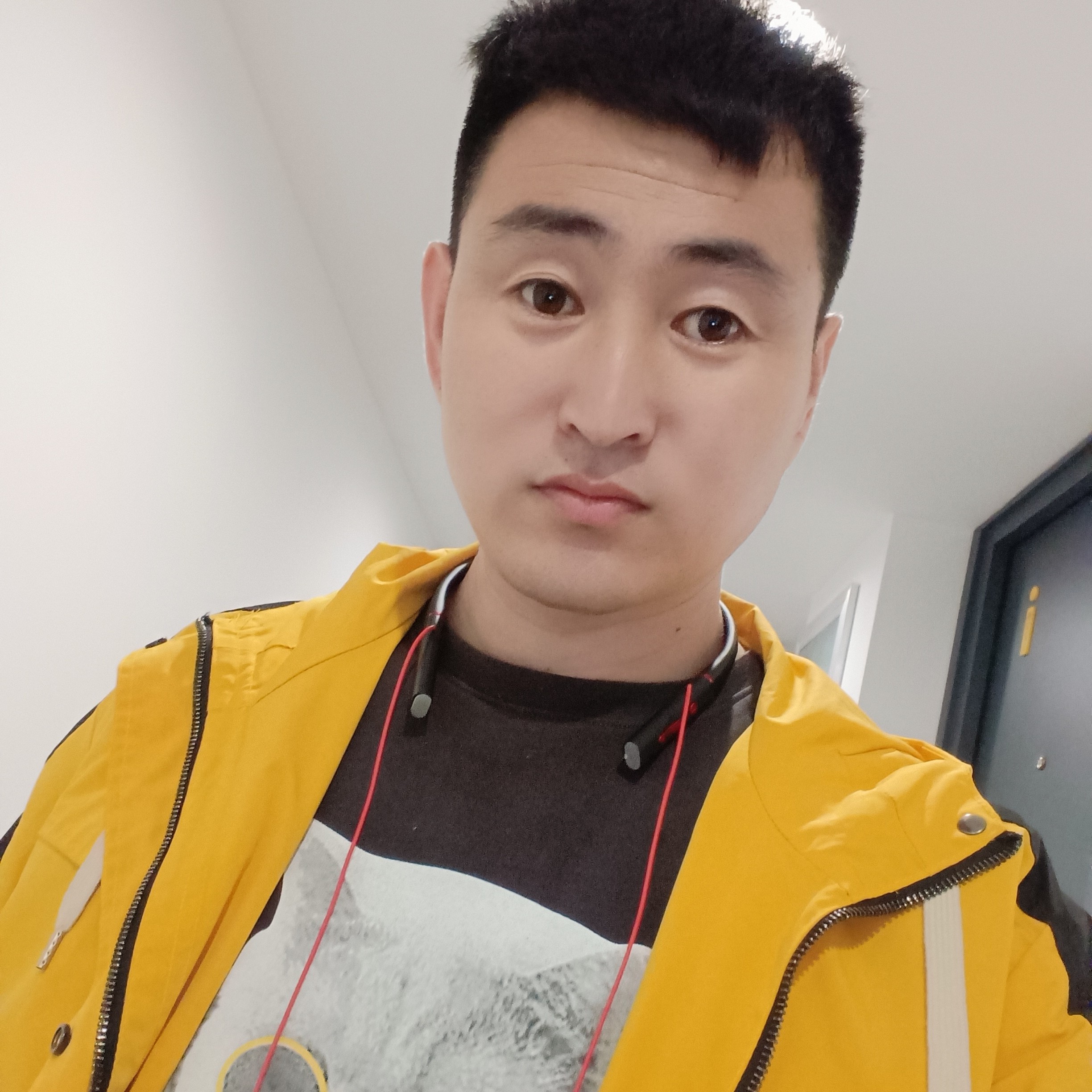 仙人掌放弃搞怪的照片