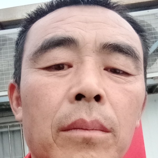 八宝粥怕孤单的照片