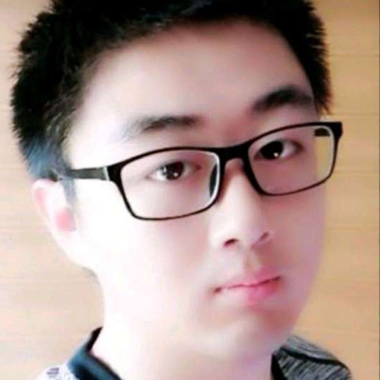 山茶树下的照片