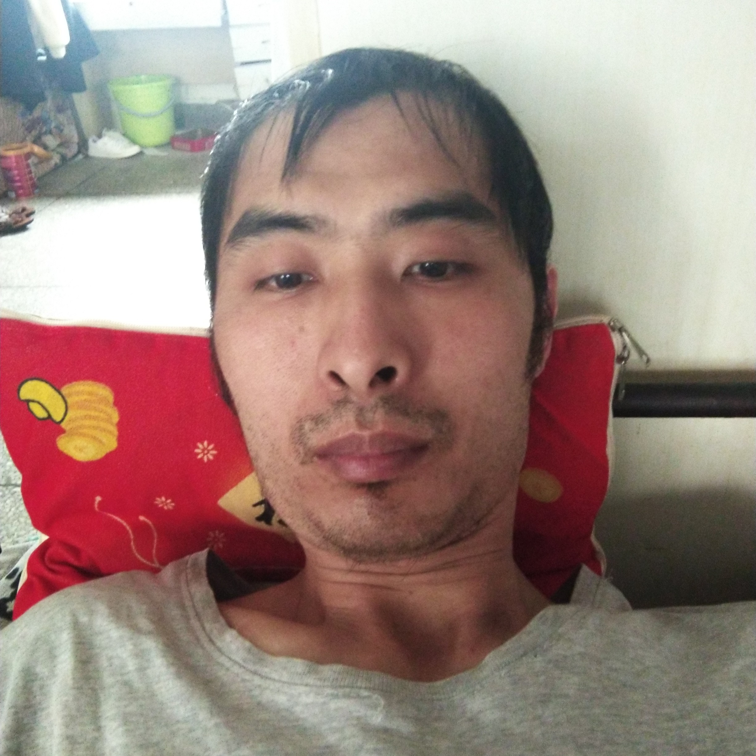 惊鸿能干的照片