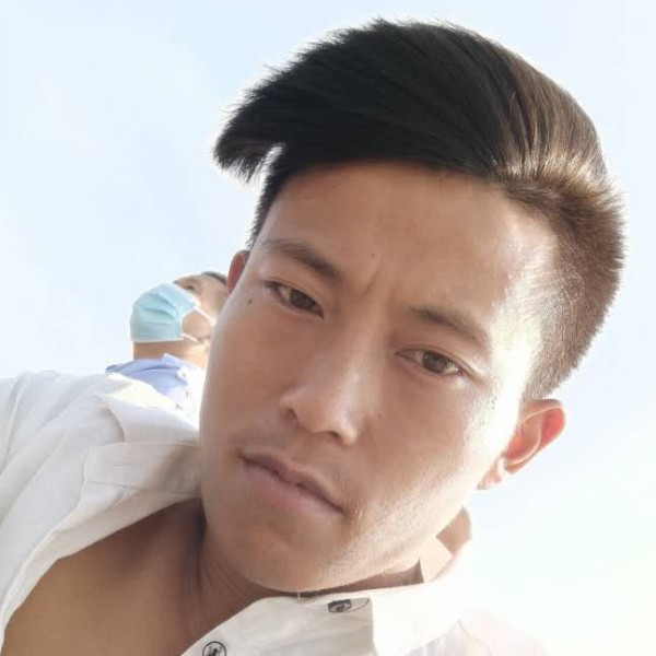 8385368的照片