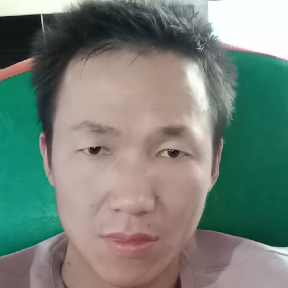 俗语四叶草的照片