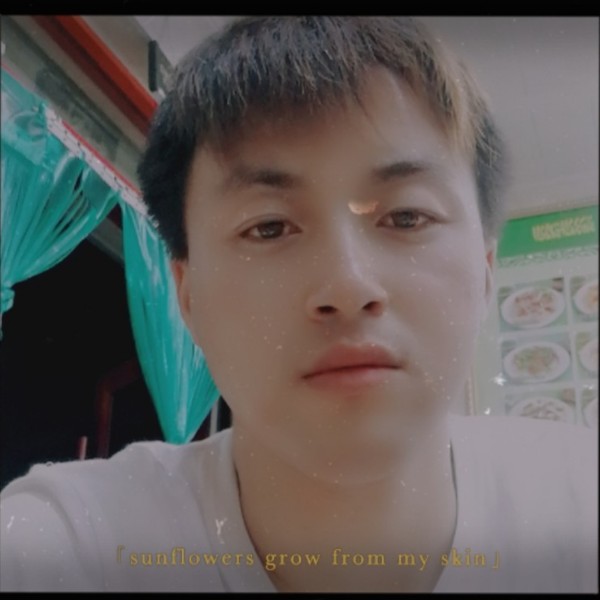 小蚂蚁直率的照片