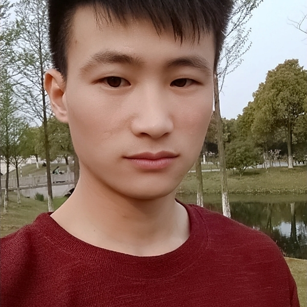剪影爱长情的照片