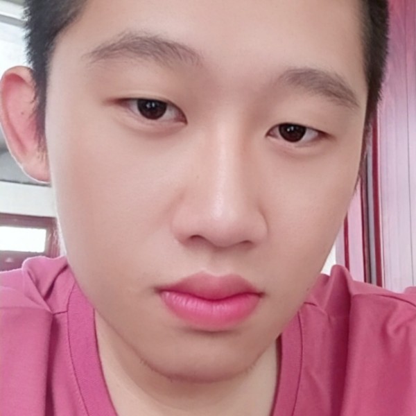 猫咪改变大胆的照片