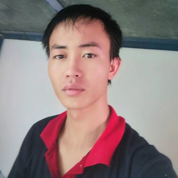 菠萝长情的照片