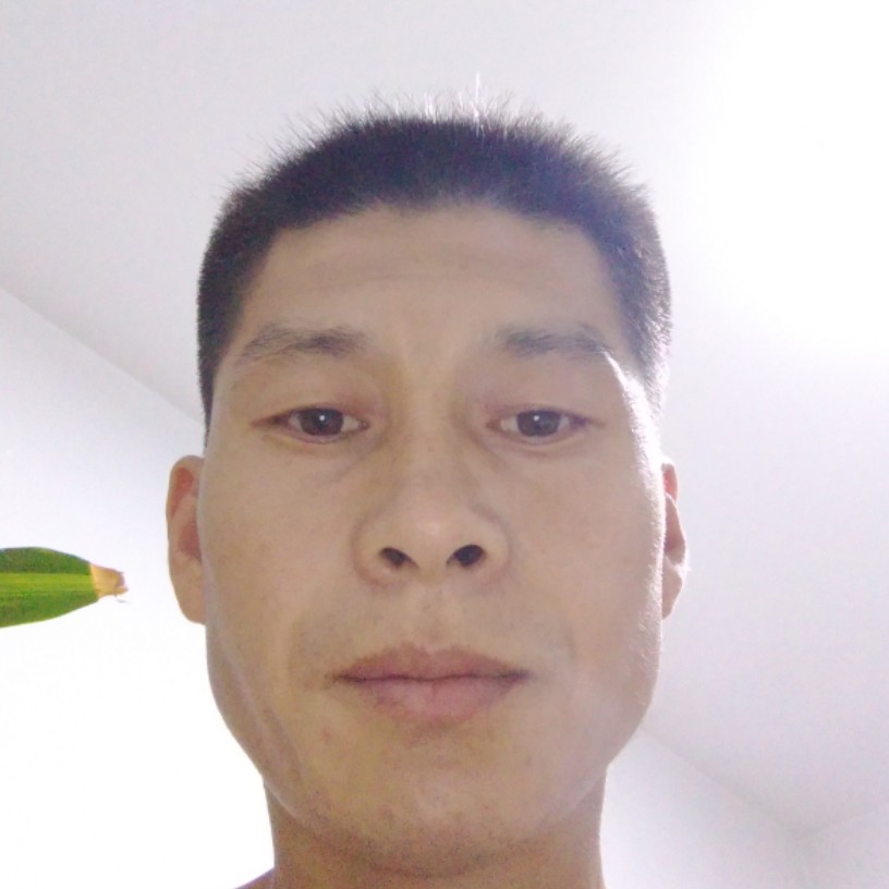 迷离苦恋菠萝的照片
