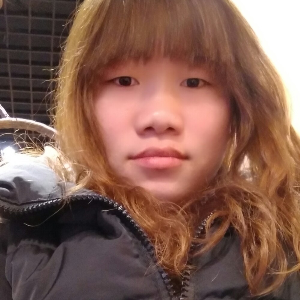 安详飞鸟的照片
