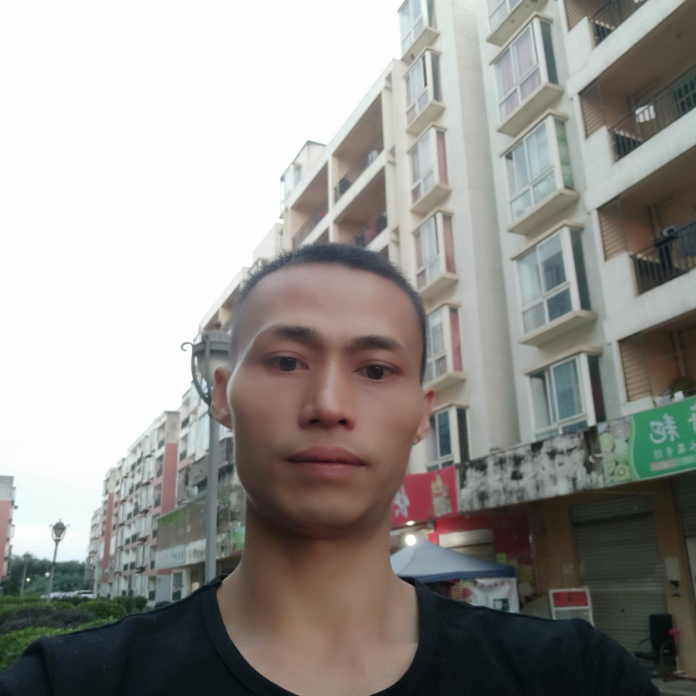 红牛昏睡的照片