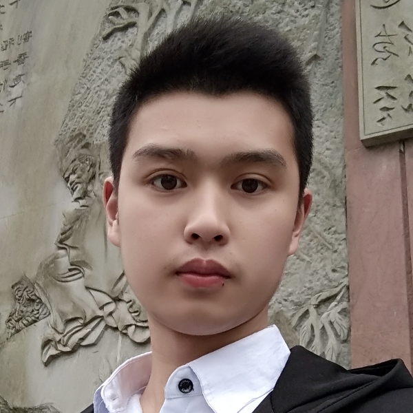 陶醉鸵鸟的照片