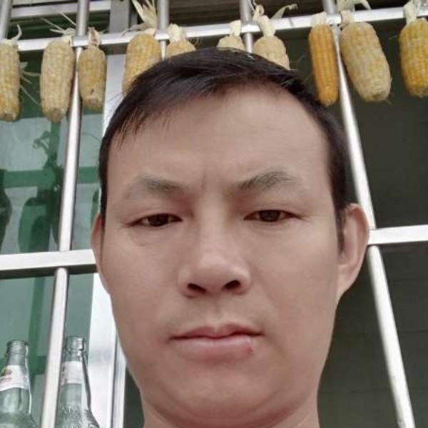 电脑健壮的照片