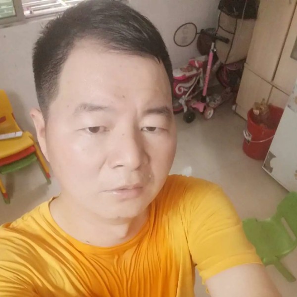 铅笔和腼腆的照片