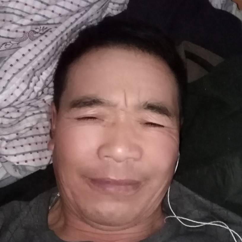 羽毛浅吻迷茫的照片