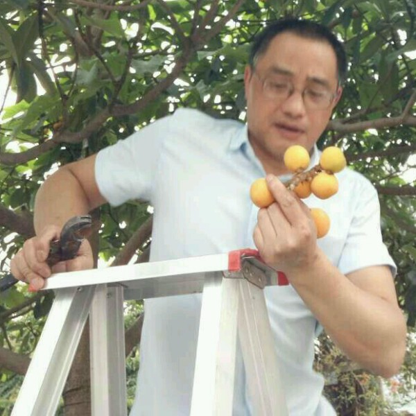 沙坪坝唯一的照片