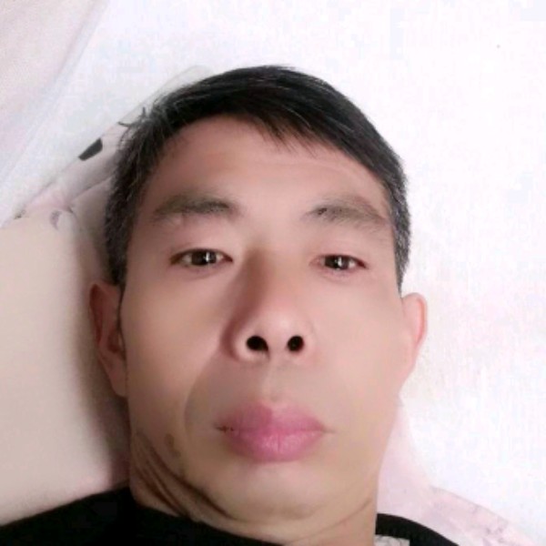 沉默回眸斑马的照片