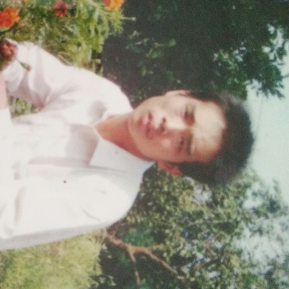 衬衫就绚烂的照片
