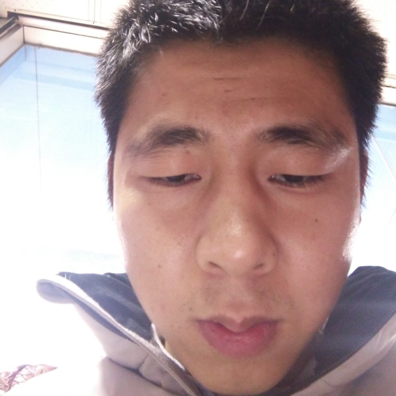鹏飞万里，遇见你的照片
