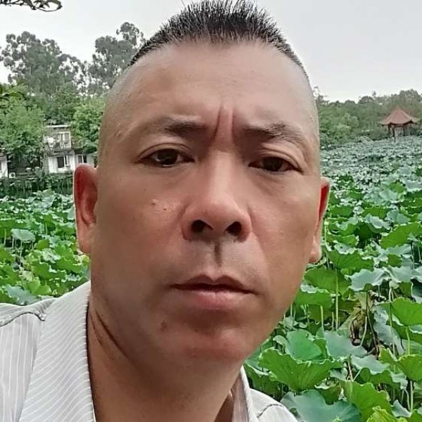 稳重拿白猫的照片