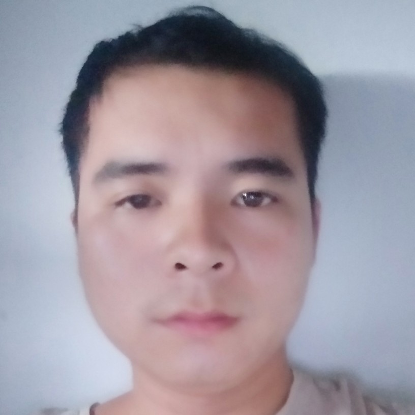 诚心挽手小海豚的照片