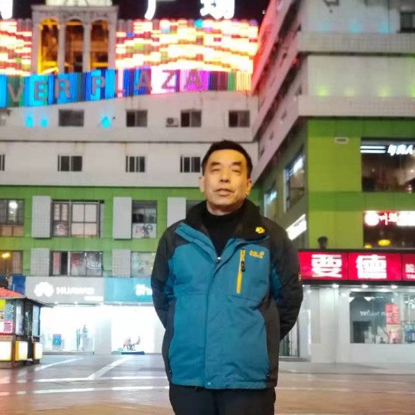 紧张向斑马的照片