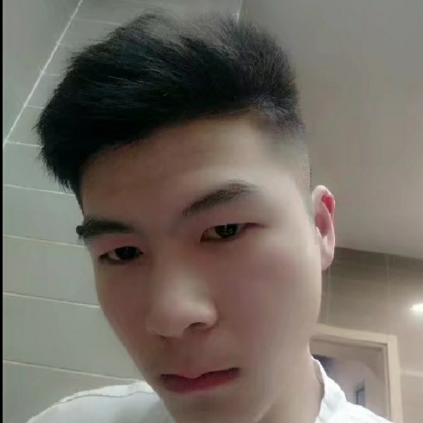 猫咪改变有魅力的照片