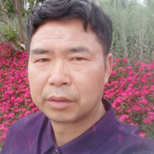 猫咪缠绵的照片