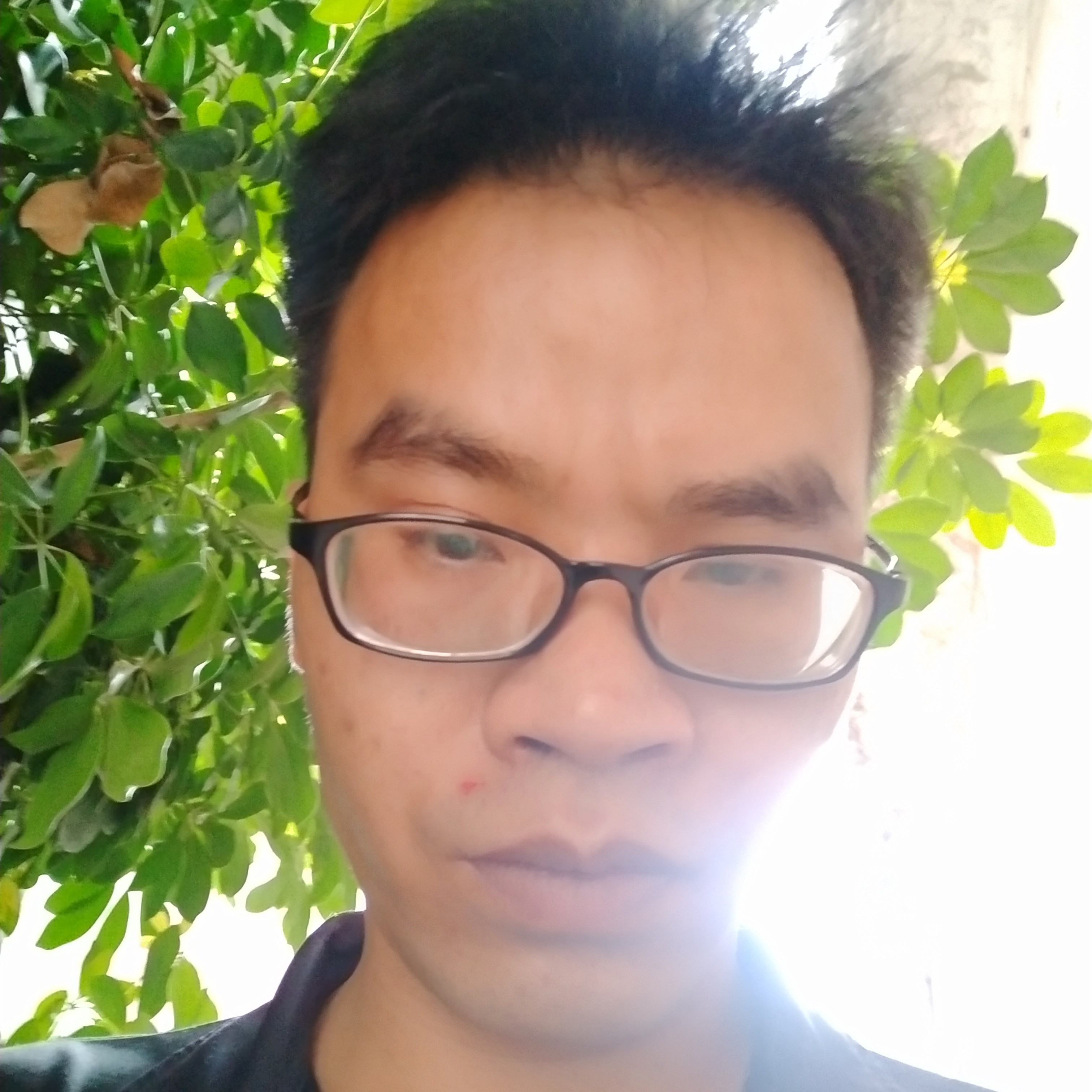 黑猫和爱撒娇的照片