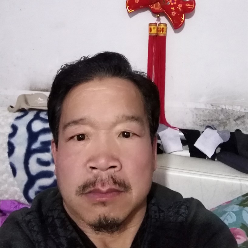 含羞草时尚的照片