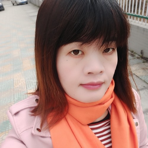 海上的燕子的照片