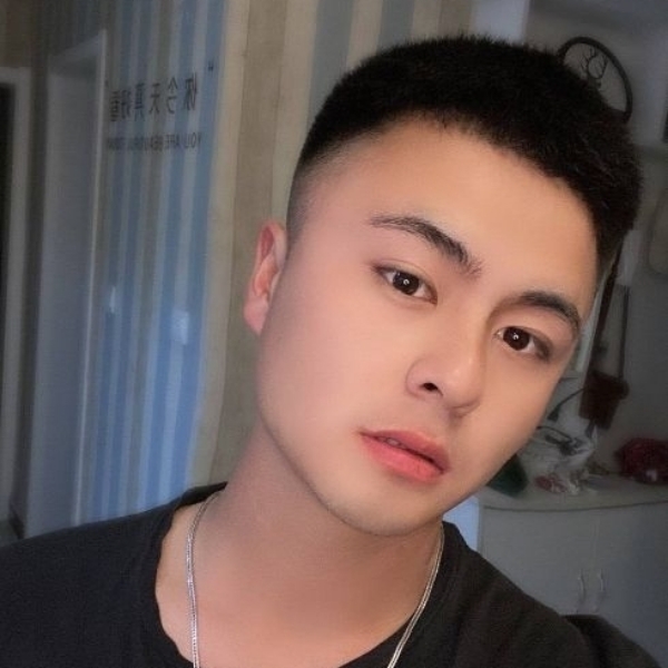 落寞说大象的照片