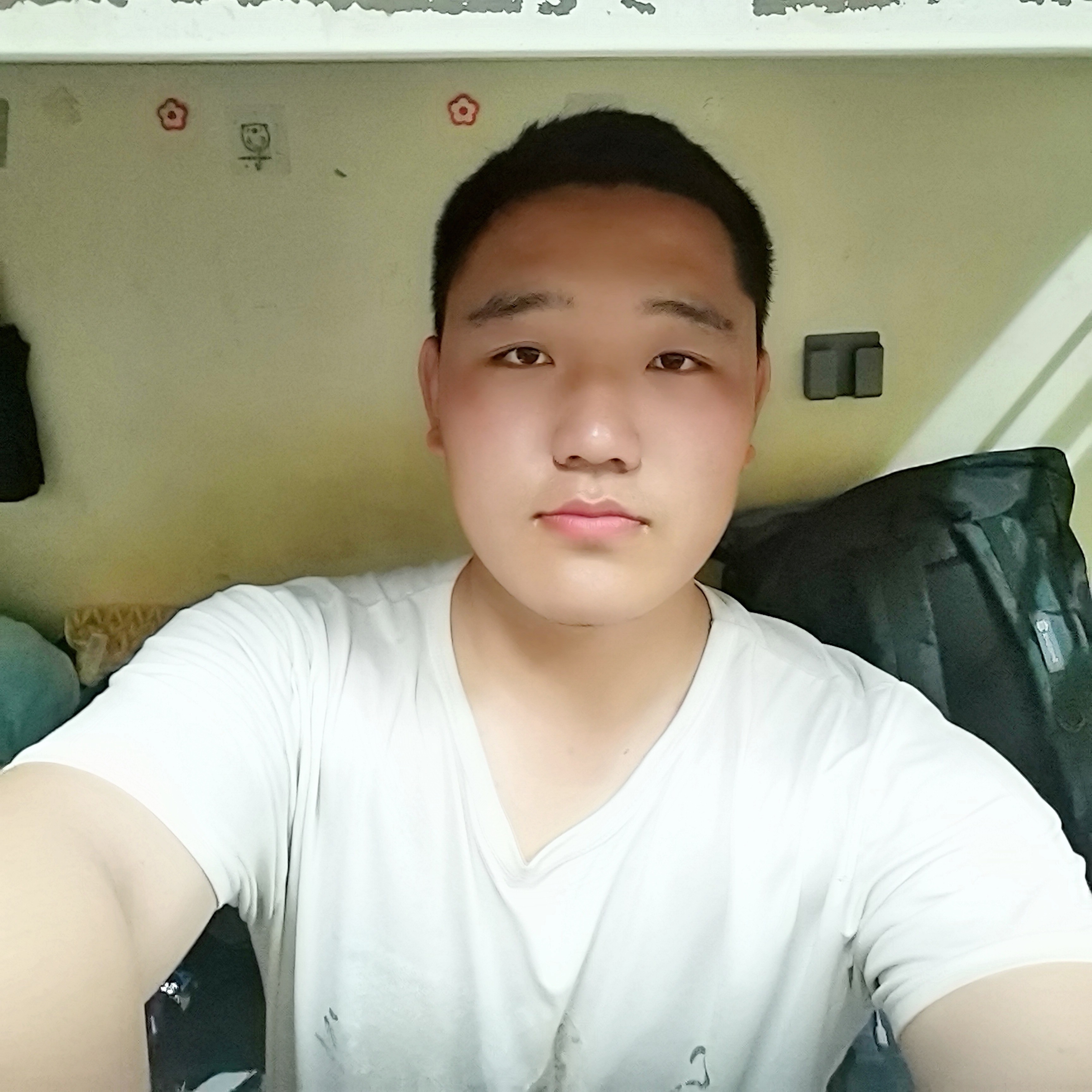 晨曦凝眸仁爱的照片