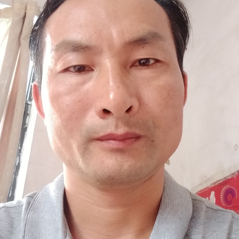 调皮拿小海豚的照片