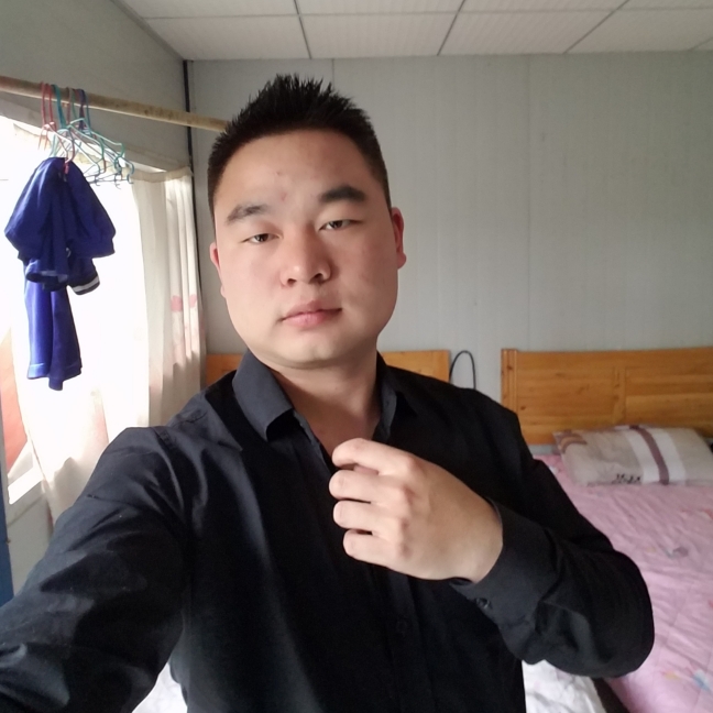 孤单候鸟的照片