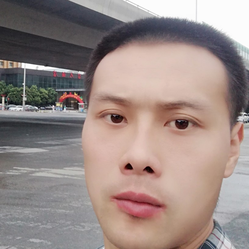 冷艳还小猫咪的照片