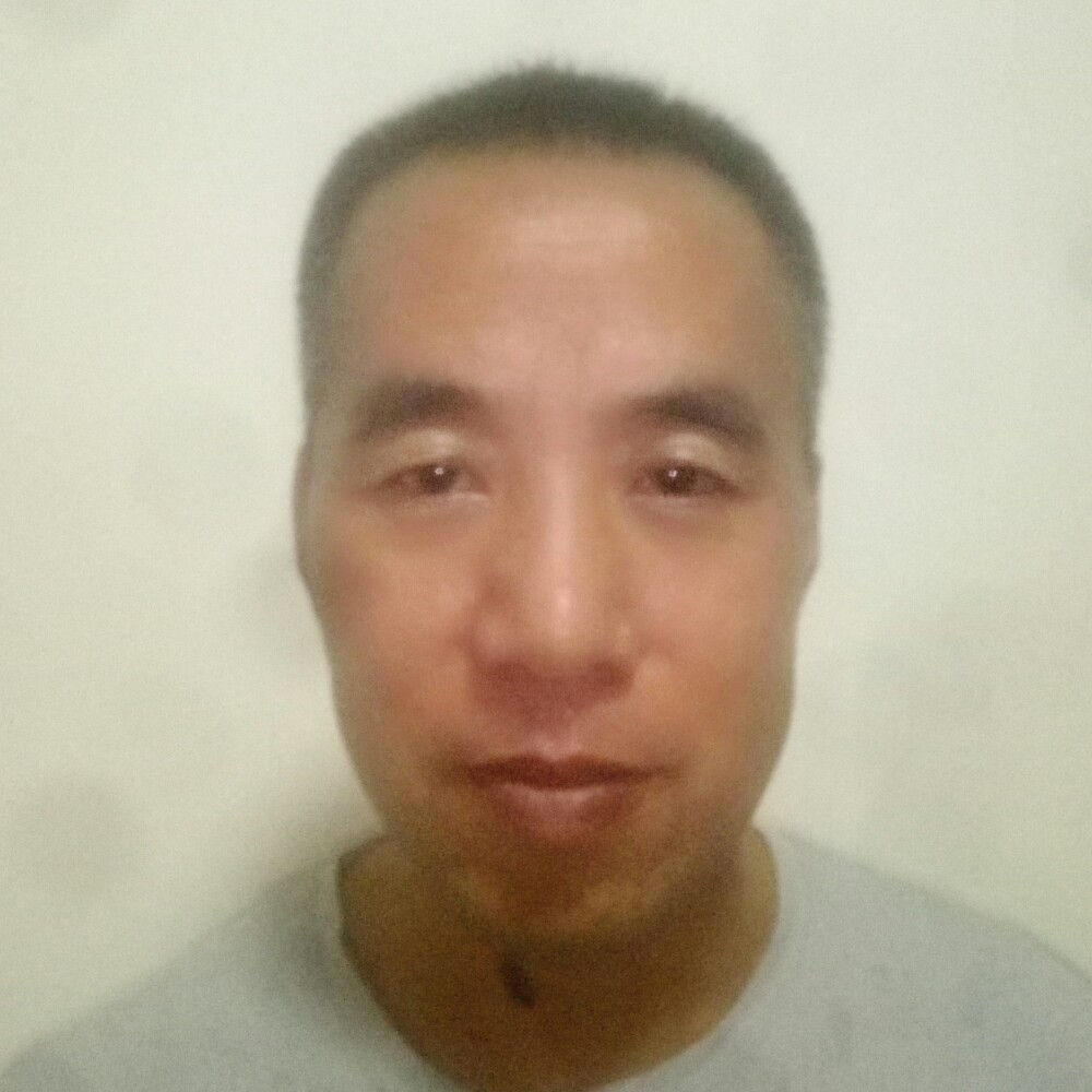 孤独的北方狼的照片