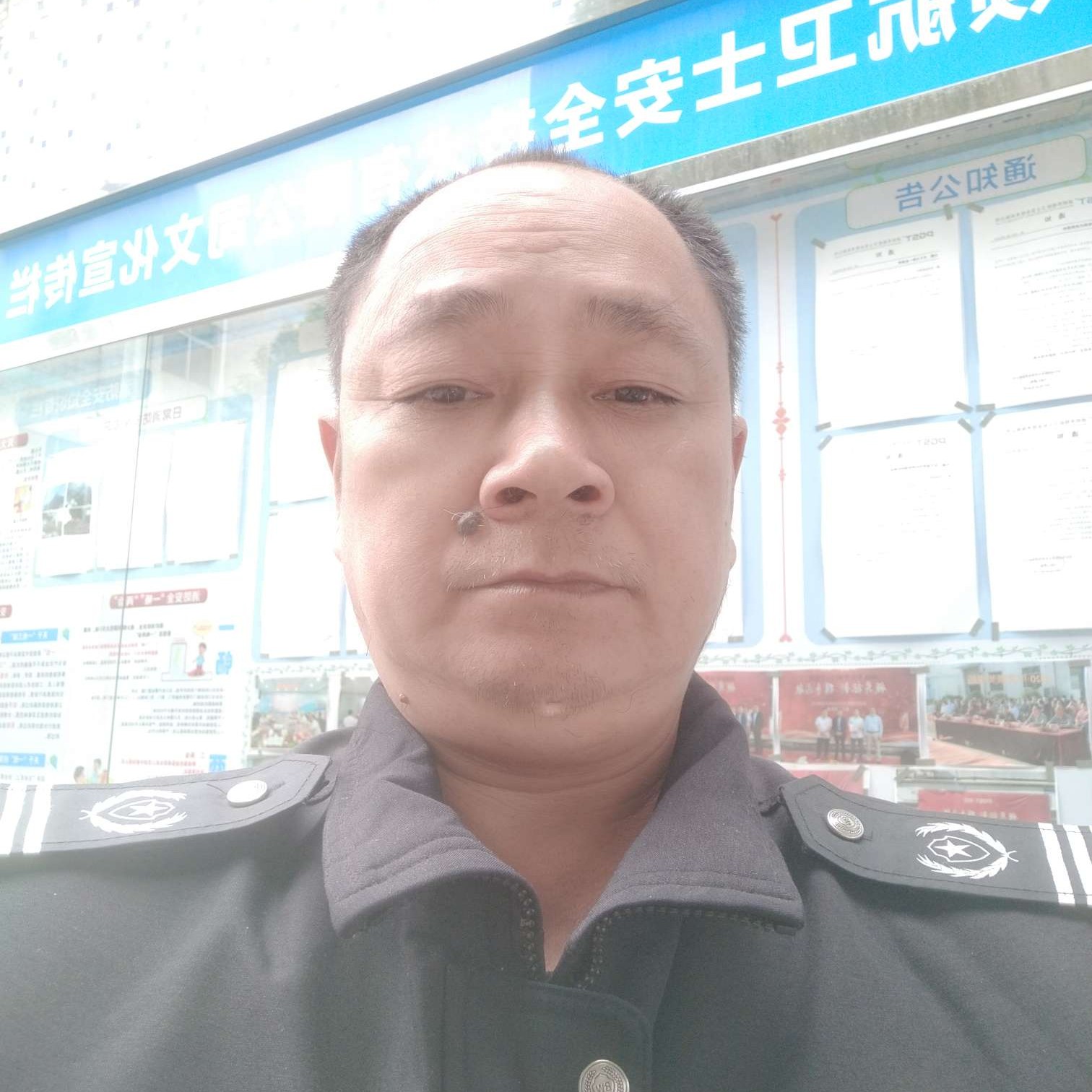 娇气给无可取代的的照片