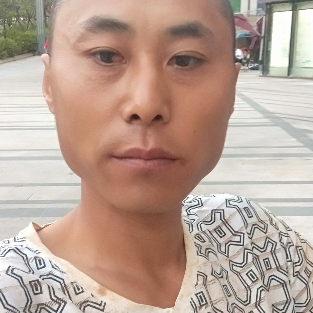 健康有长颈鹿的照片
