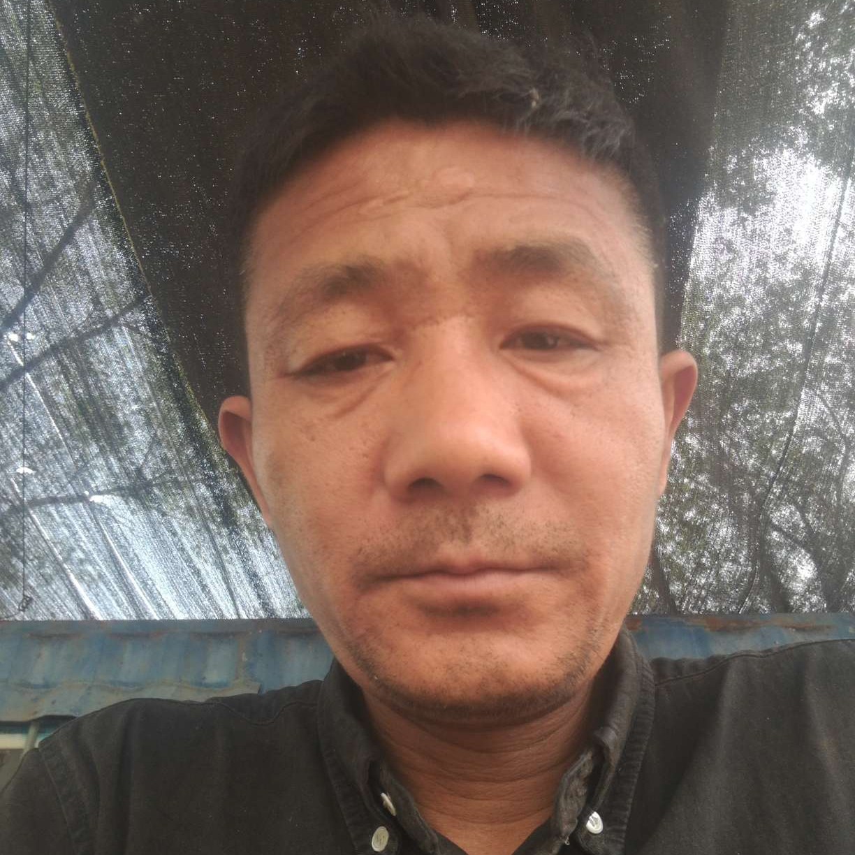 天津的的照片