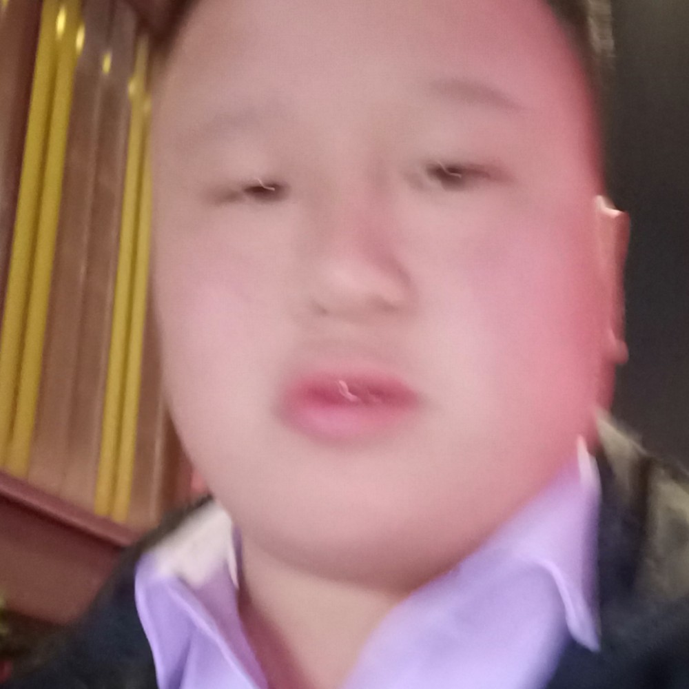 鲤鱼蝶衣的照片