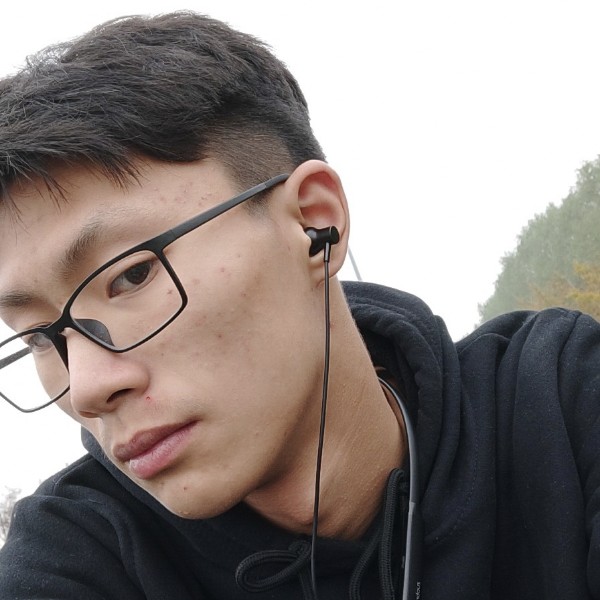 文艺老鼠的照片