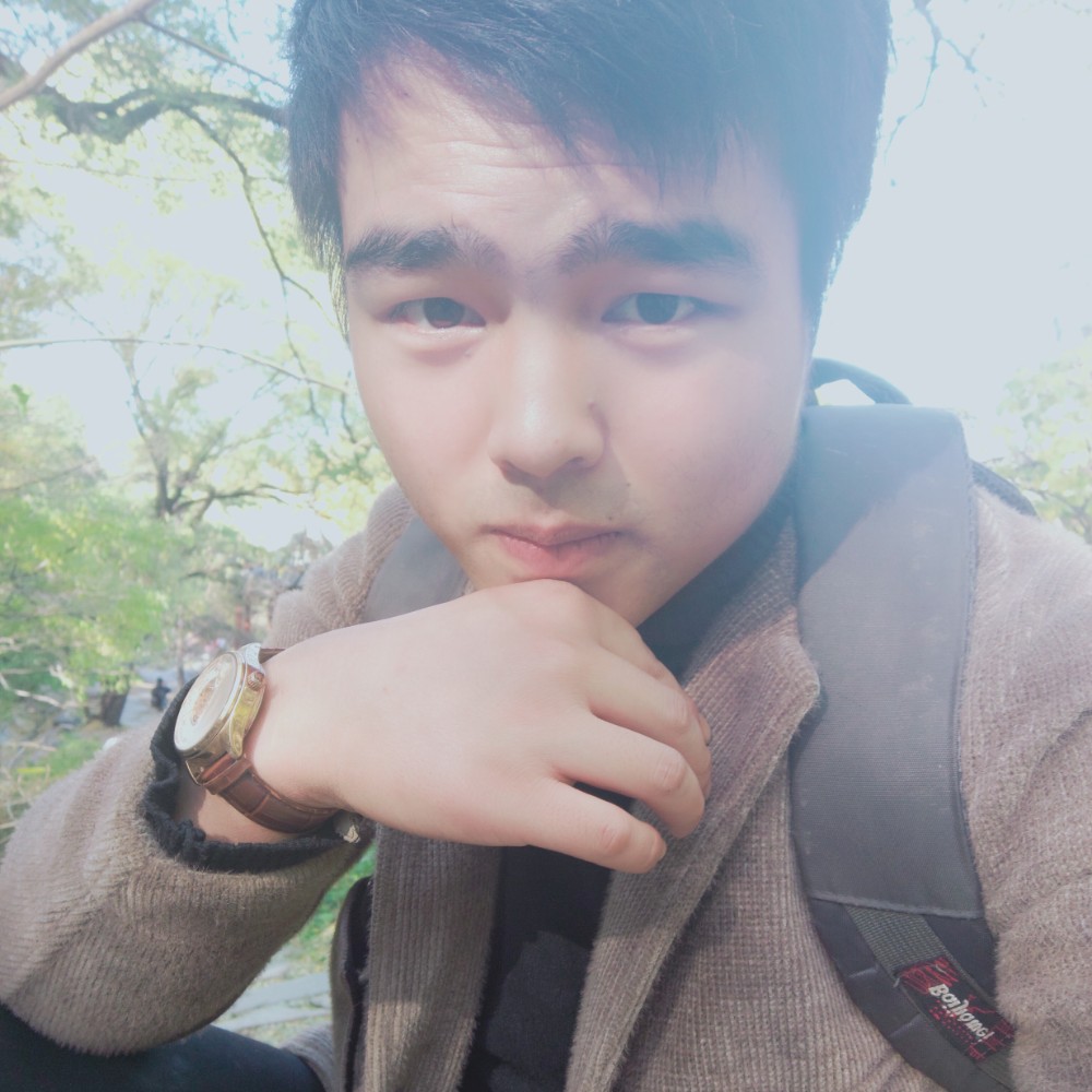 成就浅吻小刺猬的照片