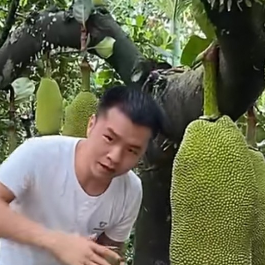 青衣说零碎137的照片